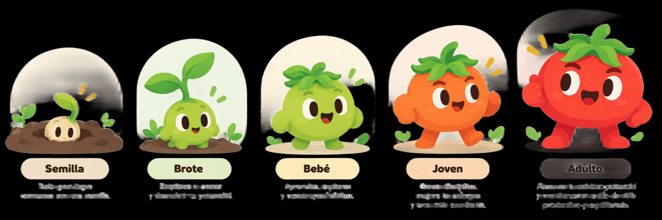 Dómate Evolution Line